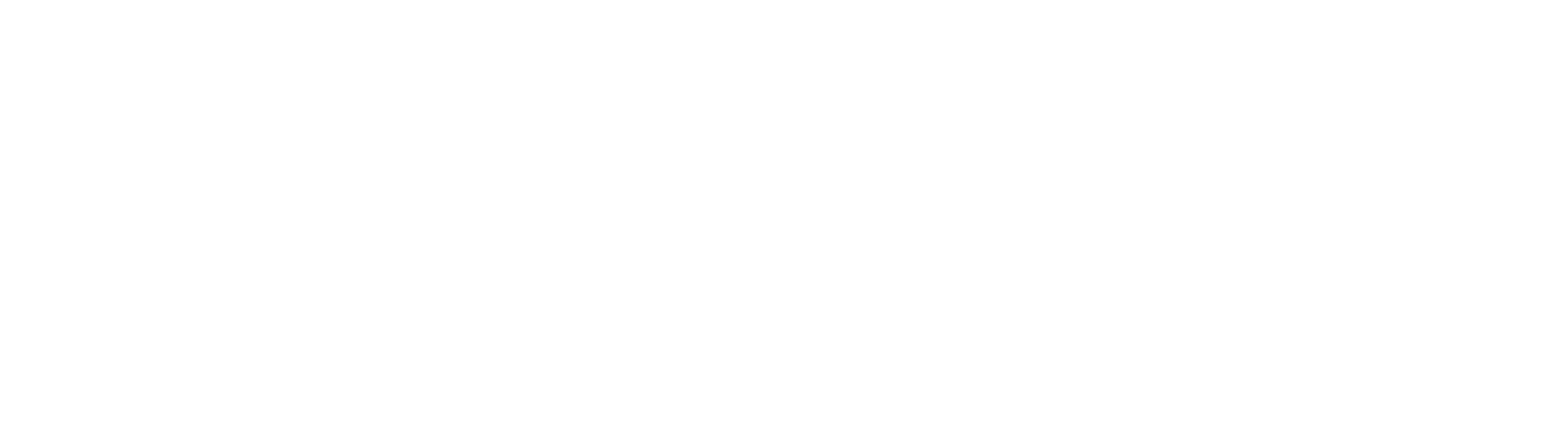 STEED WHITE TM