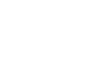 css-official-logo-white-text